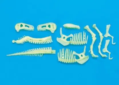 Glow-in-the-Dark Dinos T.rex Skeleton - Image 3
