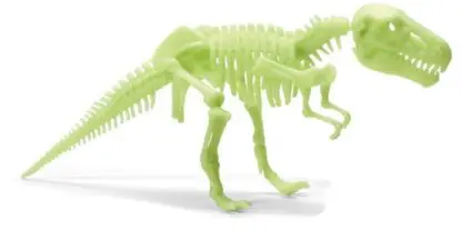 Glow-in-the-Dark Dinos T.rex Skeleton - Image 4
