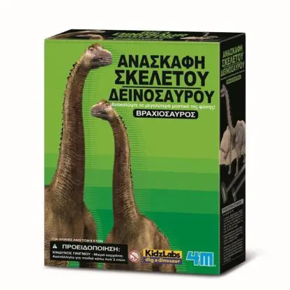Βραχιόσαυρος - Ανασκαφή 4M