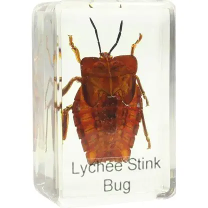 Omegon shield bug slide