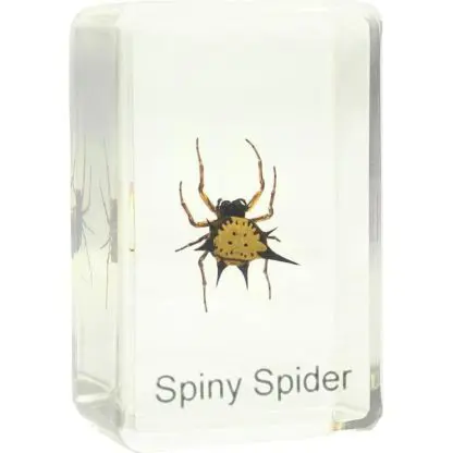 Omegon Spiny Spider slide