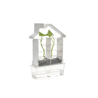 Play Steam - Plant Maze Botany Kit Set - Image 4
