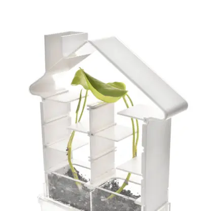 Play Steam - Plant Maze Botany Kit Set - Image 7