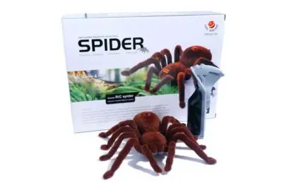 Remote Controlled Spider - 16cm - Image 3