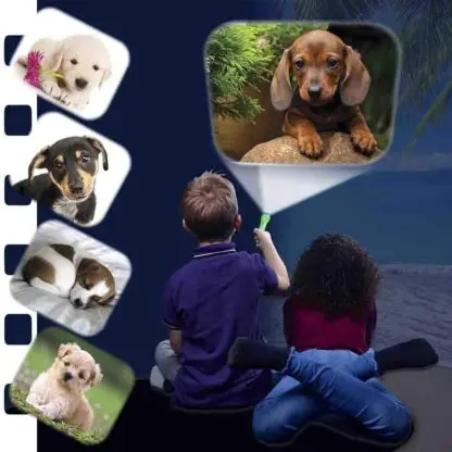 Puppy Torch and Projector - Image 2