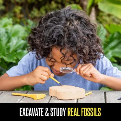 Geosafari® Fossil Excavation Kit - Image 2