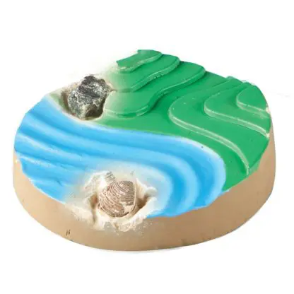 Dig & Display Fossil Kit - Image 4