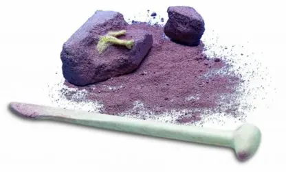 Dinosaur Excavation From An Egg - Image 3