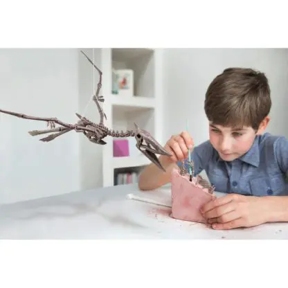 Dig A Pteranodon Skeleton - Image 5