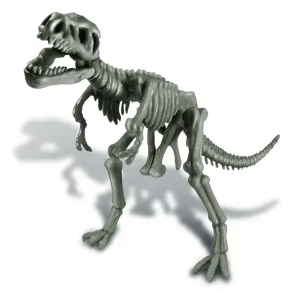 Ανασκαφή Τυραννόσαυρος - REX - Image 6