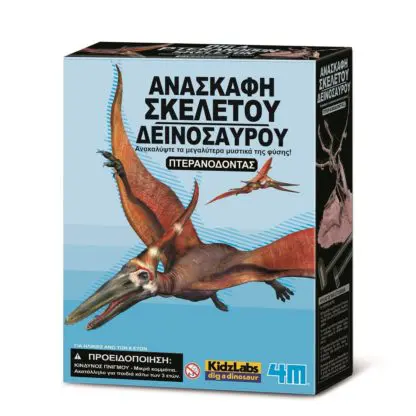 Excavation of Pteranodon