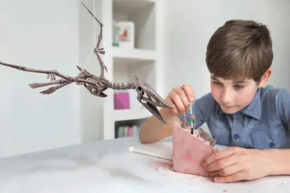 Excavation of Pteranodon - Image 4