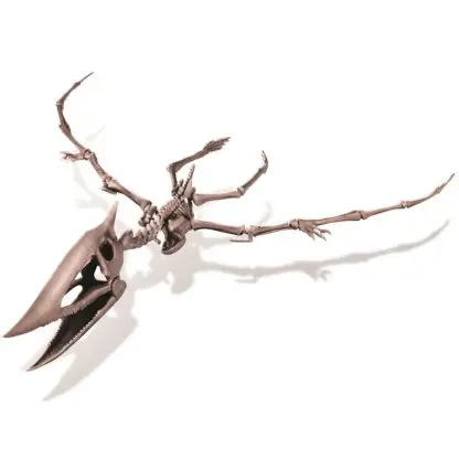 Excavation of Pteranodon - Image 2