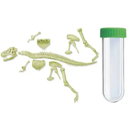 T-Rex Skeleton Flashing - Image 5