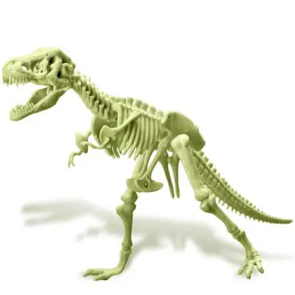 T-Rex Skeleton Flashing - Image 8