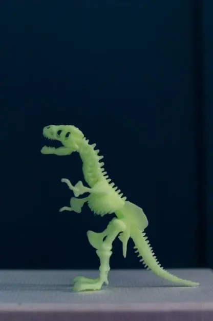 T-Rex Skeleton Flashing - Image 2