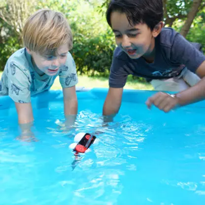Robotic Fish - Image 6