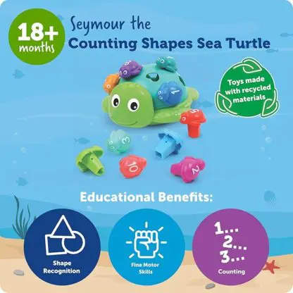 Seymour the Counting Shapes Sea Turtle - Image 2