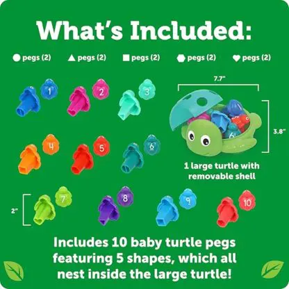 Seymour the Counting Shapes Sea Turtle - Image 3