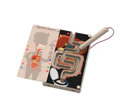 Πεπτικό Σύστημα με Buzzer - Image 2