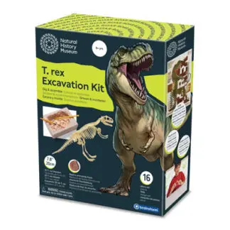 Μουσείο Φυσικής Ιστορίας – Σετ ανασκαφής T-Rex