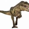 Picture Viewer με Δεινόσαυρους Natural History Museum - Image 2