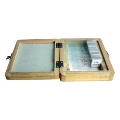 Omegon Prepared slide set of 20