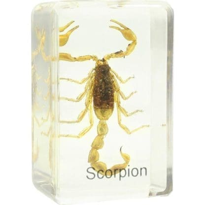 Omegon scorpion slide