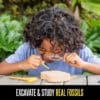 Geosafari® Fossil Excavation Kit - Image 2