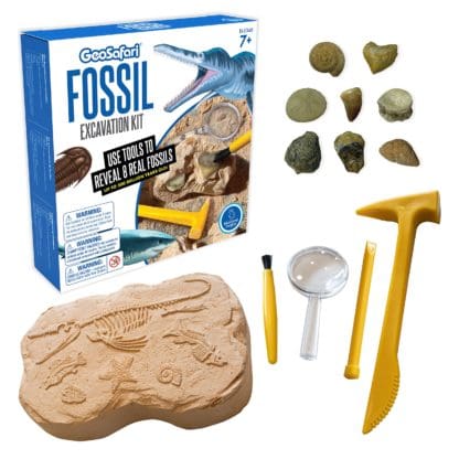 Geosafari® Fossil Excavation Kit