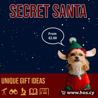 Secret Santa Gift Ideas