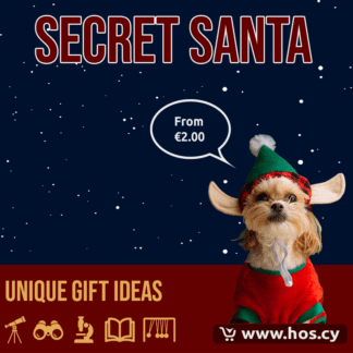 Secret Santa Gift Ideas