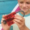 Construction - Visible Mechanism Padlock - Image 4