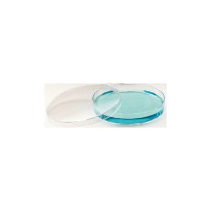 Petri dish 94x16mm, polystyrene - 20 pieces - Image 2