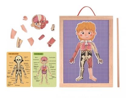 Wooden Magnetic Board Learning my Body