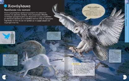 Encyclopedia of nocturnal animals - Image 3
