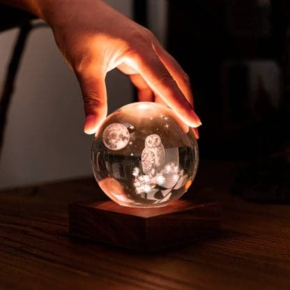 Gingko Design 3D laser The Owl Moon - Image 4