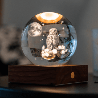Gingko Design 3D laser The Owl Moon - Image 5