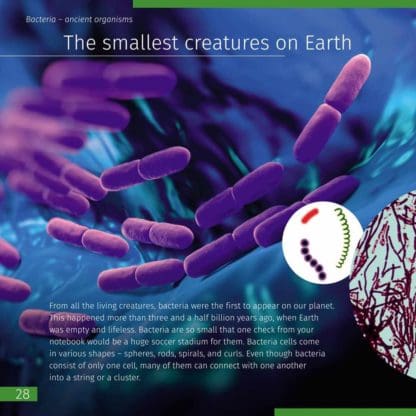 Knowledge Book: Invisible World English Softcover - Image 5