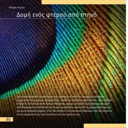 Αθέατος Κόσμος - Ταξίδια με Μικροσκόπιο - Image 2