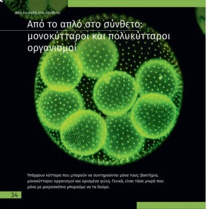 Αθέατος Κόσμος - Ταξίδια με Μικροσκόπιο - Image 3