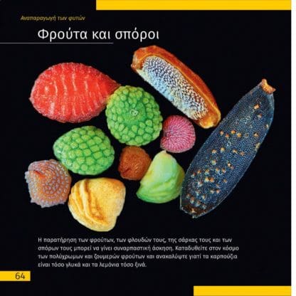 Αθέατος Κόσμος - Ταξίδια με Μικροσκόπιο - Image 6